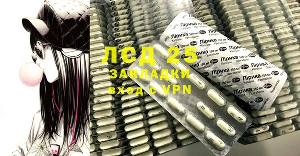 ПСИЛОЦИБИНОВЫЕ ГРИБЫ Новодвинск
