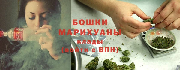 крисы Новозыбков