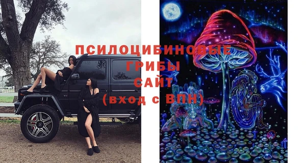 дурь Новокубанск