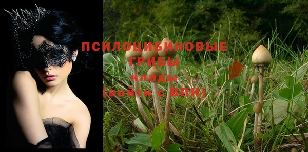 ПСИЛОЦИБИНОВЫЕ ГРИБЫ Новодвинск