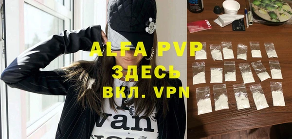крисы Новозыбков