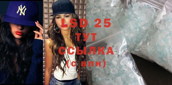 крисы Новозыбков