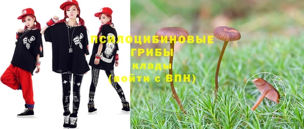 дурь Новокубанск