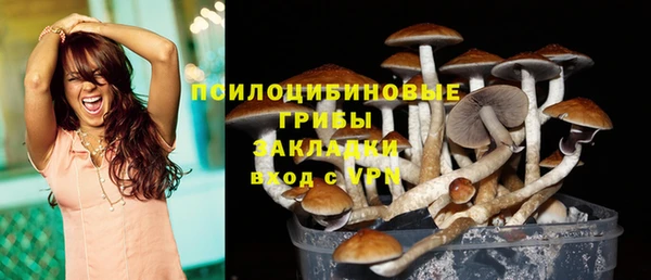 крисы Новозыбков