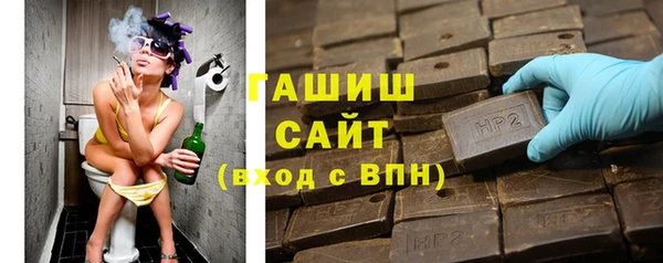 крисы Новозыбков