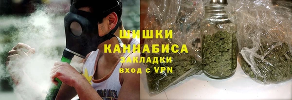 гашик Нефтекумск