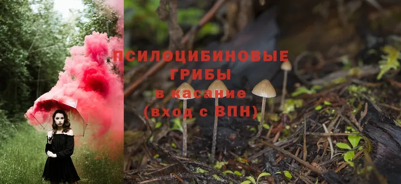 Псилоцибиновые грибы Magic Shrooms  как найти закладки  Кирово-Чепецк 