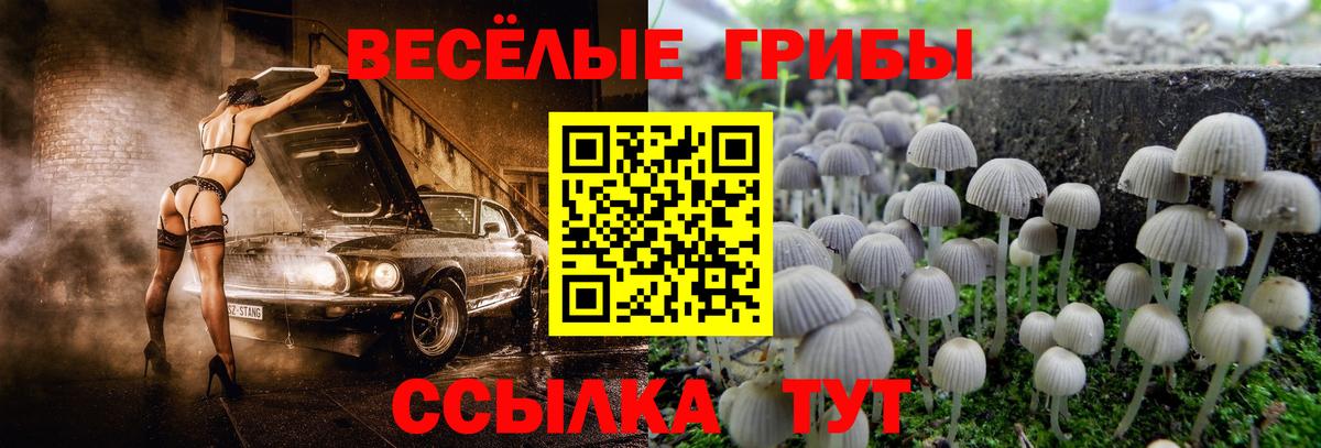 Кирово-Чепецк  закладка  Вход с VPN  Псилоцибиновые грибы GOLDEN TEACHER  Псилоцибиновые грибы мухоморы 